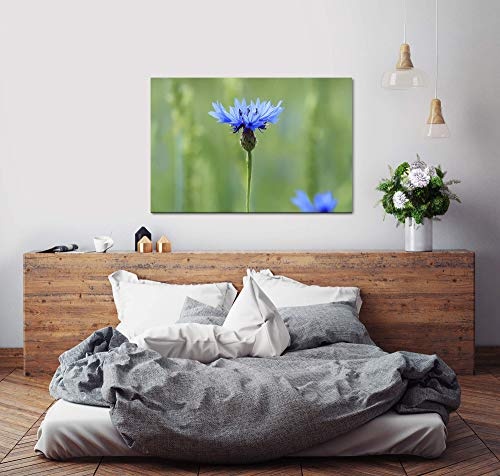 150x100cm Leinwandbild Blaue Kornblume am blühen auf Einer Wiese Leinwand auf Holzrahmen