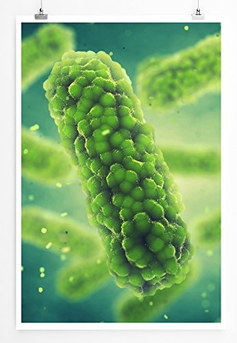 Best for home Artprints - Wissenschaftliche Abbildung - Großabbild eines Bakteriums- Fotodruck in gestochen scharfer Qualität