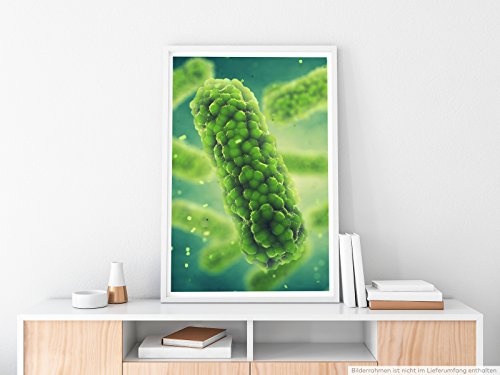 Best for home Artprints - Wissenschaftliche Abbildung - Großabbild eines Bakteriums- Fotodruck in gestochen scharfer Qualität