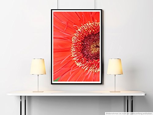 Best for home Artprints - Kunstbild - Nahaufnahme einer roten Gerbera Pflanze- Fotodruck in gestochen scharfer Qualität