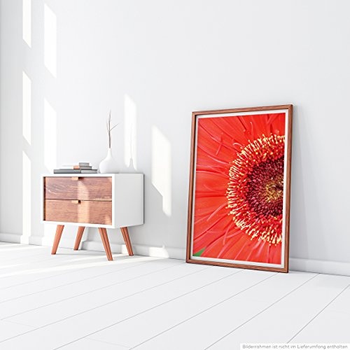Best for home Artprints - Kunstbild - Nahaufnahme einer roten Gerbera Pflanze- Fotodruck in gestochen scharfer Qualität