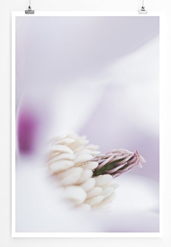 Best for home Artprints - Künstlerische Fotografie - Detail einer Magnolienblüte- Fotodruck in gestochen scharfer Qualität