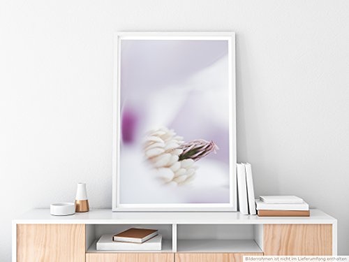 Best for home Artprints - Künstlerische Fotografie - Detail einer Magnolienblüte- Fotodruck in gestochen scharfer Qualität