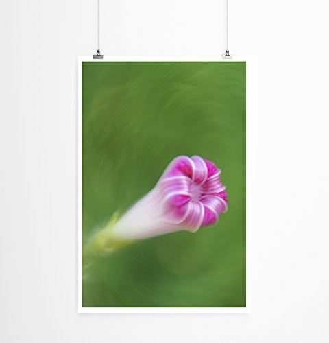Best for home Artprints - Kunstbild - Pinke Blüte einer Kletterpflanze- Fotodruck in gestochen scharfer Qualität