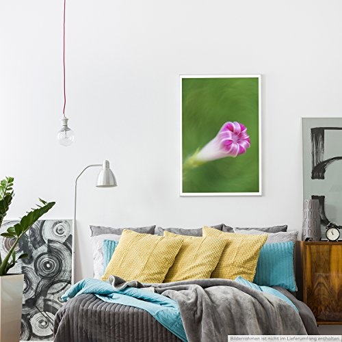 Best for home Artprints - Kunstbild - Pinke Blüte einer Kletterpflanze- Fotodruck in gestochen scharfer Qualität
