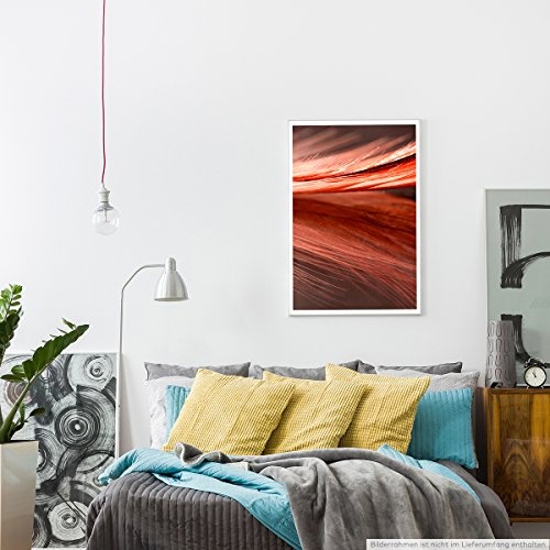 Best for home Artprints - Kunstbild - Rot orange Nahaufnahme einer Feder- Fotodruck in gestochen scharfer Qualität