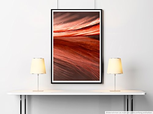 Best for home Artprints - Kunstbild - Rot orange Nahaufnahme einer Feder- Fotodruck in gestochen scharfer Qualität