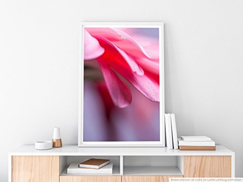 Best for home Artprints - Kunstbild - Nahaufnahme einer pinken Gebera Blumen- Fotodruck in gestochen scharfer Qualität