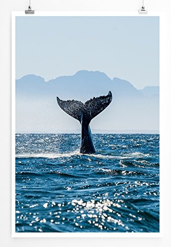 Best for home Artprints - Kunstbild - Flosse eines Buckelwals im Meer Südafrika- Fotodruck in gestochen scharfer Qualität