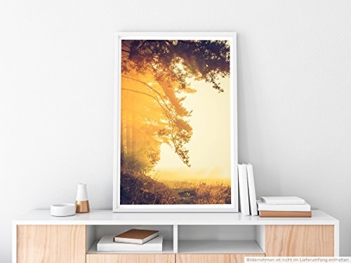 Best for home Artprints - Art - Nebliger Morgen auf einer Wiese- Fotodruck in gestochen scharfer Qualität