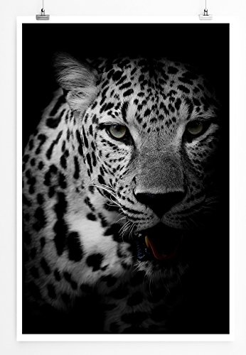 Best for home Artprints - Tierfotografie - Porträt eines Leoparden schwarz weiß- Fotodruck in gestochen scharfer Qualität