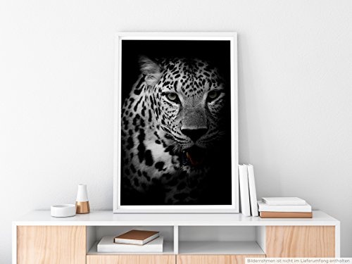Best for home Artprints - Tierfotografie - Porträt eines Leoparden schwarz weiß- Fotodruck in gestochen scharfer Qualität