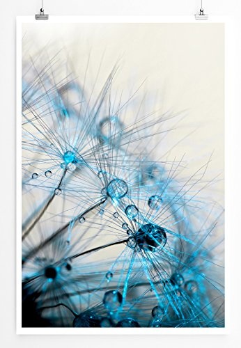 Best for home Artprints - Kunstbild - Makroaufnahme einer Pusteblumen- Fotodruck in gestochen scharfer Qualität