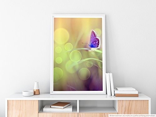 Best for home Artprints - Bild - Lila Schmetterling auf einer Frühlingswiese- Fotodruck in gestochen scharfer Qualität