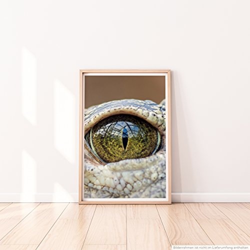 Best for home Artprints - Tierfotografie - Auge eines Alligators- Fotodruck in gestochen scharfer Qualität