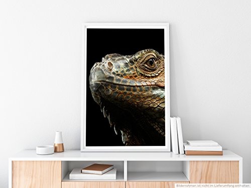 Best for home Artprints - Tierfotografie - Porträt eines grünen Leguans- Fotodruck in gestochen scharfer Qualität