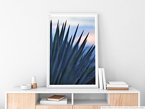 Best for home Artprints - Kunstbild - Sonnenaufgang über einer Agave für Tequila Produktion- Fotodruck in gestochen scharfer Qualität