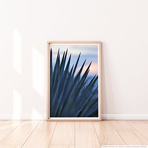Best for home Artprints - Kunstbild - Sonnenaufgang über einer Agave für Tequila Produktion- Fotodruck in gestochen scharfer Qualität