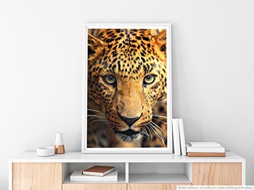 Best for home Artprints - Tierfotografie - Porträt eines Leopards- Fotodruck in gestochen scharfer Qualität