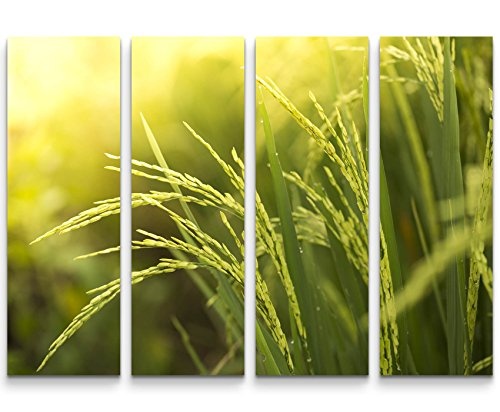 4 teiliges Canvas Bild 4x30x90cm Reispflanze