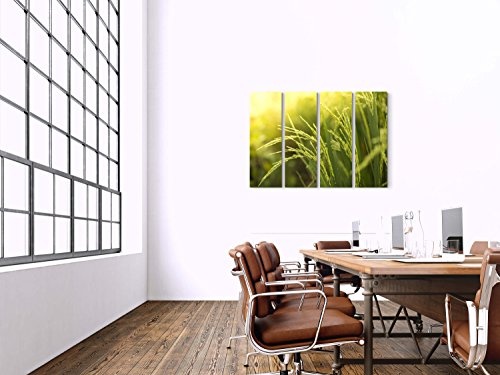 4 teiliges Canvas Bild 4x30x90cm Reispflanze