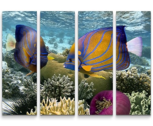 4 teiliges Canvas Bild 4x30x90cm Korallenriff mit tropischen Fischen - Rotes Meer