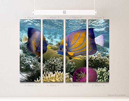 4 teiliges Canvas Bild 4x30x90cm Korallenriff mit...
