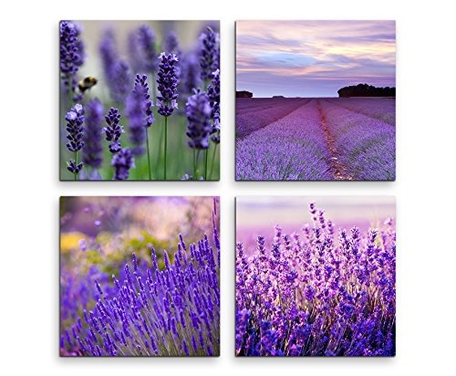 4 teiliges Leinwandbild je 20x20cm - Lavendelfeld Blumen...
