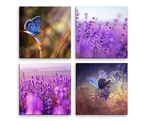 4 teiliges Leinwandbild je 20x20cm - Lavendelfeld Blumen Schmetterling Makroaufnahme