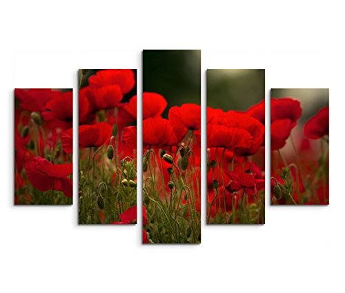 Modernes Bild 150x100cm Naturfotografie - Rote Mohnblumen