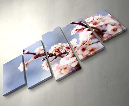 5 teiliges Wandbild auf Leinwand (Gesamtmaß: 150x100cm) Kirschblüten im Frühling