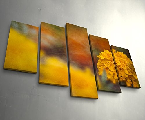 5 teiliges Wandbild auf Leinwand (Gesamtmaß: 150x100cm) Mehrere Ringelblumenpflanzen, eine Pflanze im Fokus