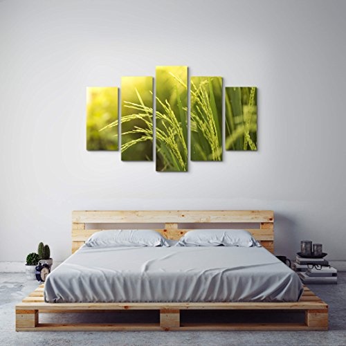 5 teiliges Wandbild auf Leinwand (Gesamtmaß: 150x100cm) Reispflanze
