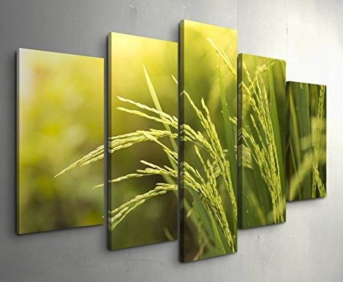 5 teiliges Wandbild auf Leinwand (Gesamtmaß: 150x100cm) Reispflanze