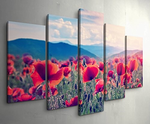 5 teiliges Wandbild auf Leinwand (Gesamtmaß: 150x100cm) Bergwiese mit Mohnblumen