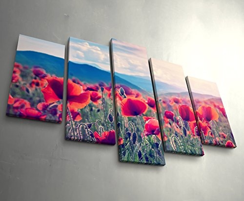 5 teiliges Wandbild auf Leinwand (Gesamtmaß: 150x100cm) Bergwiese mit Mohnblumen