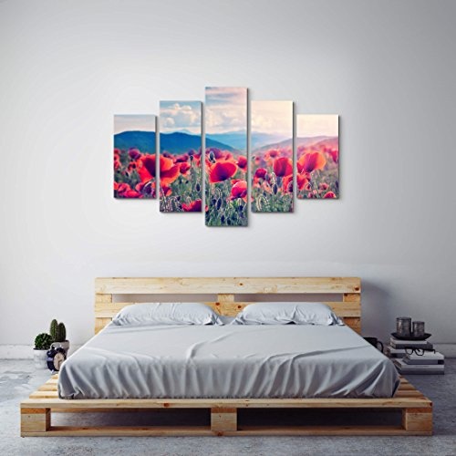 5 teiliges Wandbild auf Leinwand (Gesamtmaß: 150x100cm) Bergwiese mit Mohnblumen