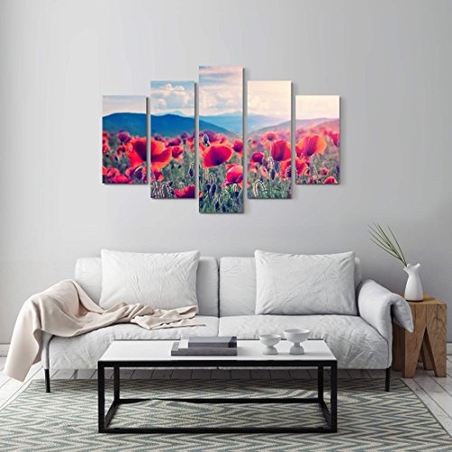 5 teiliges Wandbild auf Leinwand (Gesamtmaß: 150x100cm) Bergwiese mit Mohnblumen