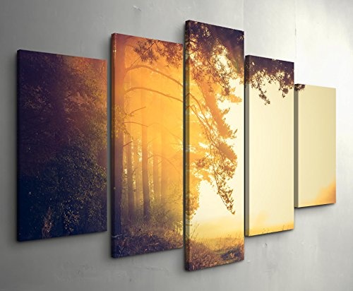 5 teiliges Wandbild auf Leinwand (Gesamtmaß: 150x100cm) Waldrand, Sonnenstrahlen