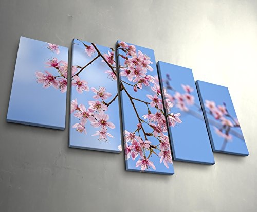 5 teiliges Wandbild auf Leinwand (Gesamtmaß: 150x100cm) Pinke Frühlingsblüten