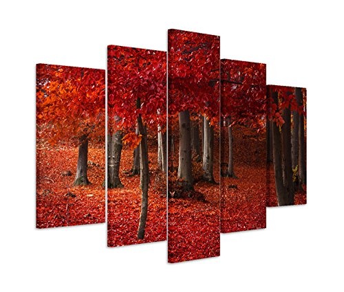 Modernes Bild 150x100cm Landschaftsfotografie - Wald mit...