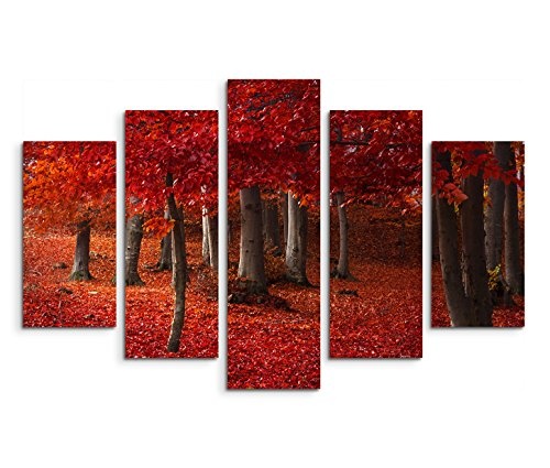 Modernes Bild 150x100cm Landschaftsfotografie - Wald mit rotem Laub