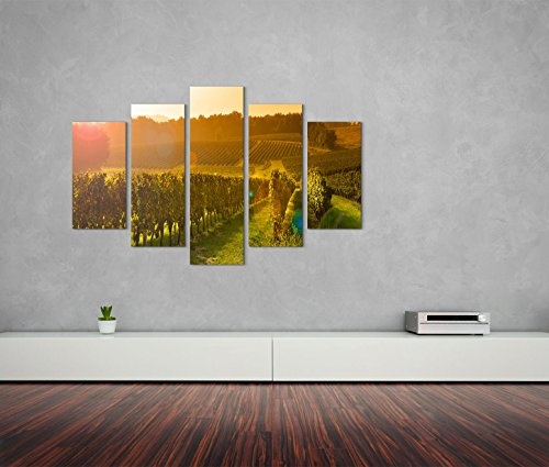 Modernes Bild 150x100cm Landschaftsfotografie - Weinberg bei Sonnenaufgang in Bordeaux
