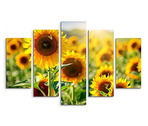 Modernes Bild 150x100cm Naturfotografie - Sonnenblumenfeld mit blauem Himmel