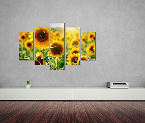 Modernes Bild 150x100cm Naturfotografie - Sonnenblumenfeld mit blauem Himmel