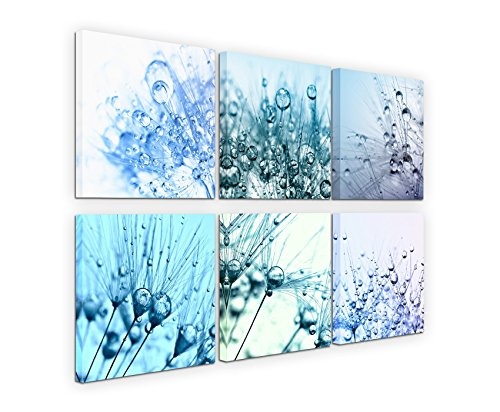 6 teilige moderne Bilderserie je 20x20cm - Pusteblume Wassertropfen Makroaufnahme