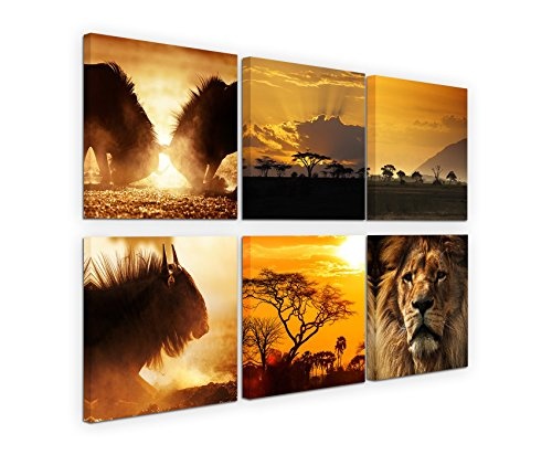6 teilige moderne Bilderserie je 20x20cm - Afrika Tierwelt Löwe Gnus Akazienbaum
