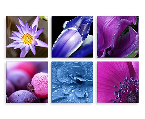 6 teilige moderne Bilderserie je 20x20cm - Blumen Wassertropfen Makroaufnahme Violett