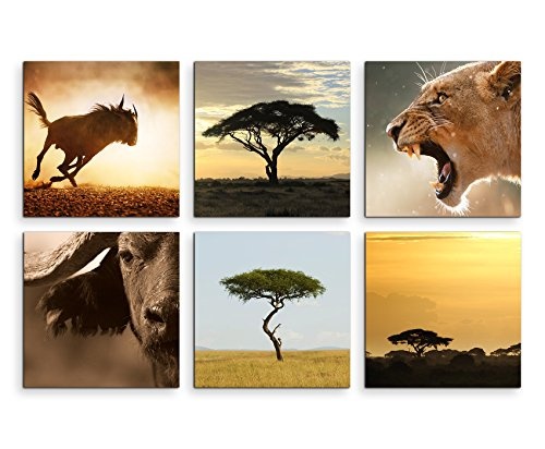 6 teilige moderne Bilderserie je 20x20cm - Akazienbaum Afrika Löwe Wüste