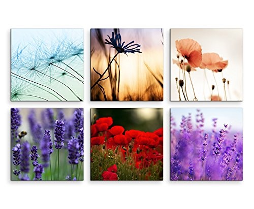 6 teilige moderne Bilderserie je 20x20cm - Lavendel Mohnblumen Pusteblume Löwenzahn Makroaufnahme